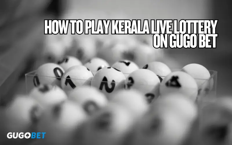 Kerala Live Lottery