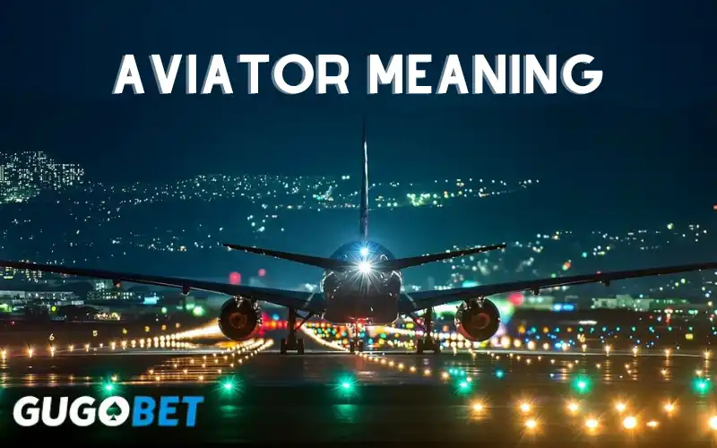 Aviator Meaning