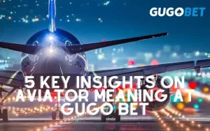 Aviator Meaning