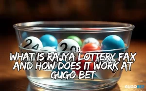 rajya lottery fax
